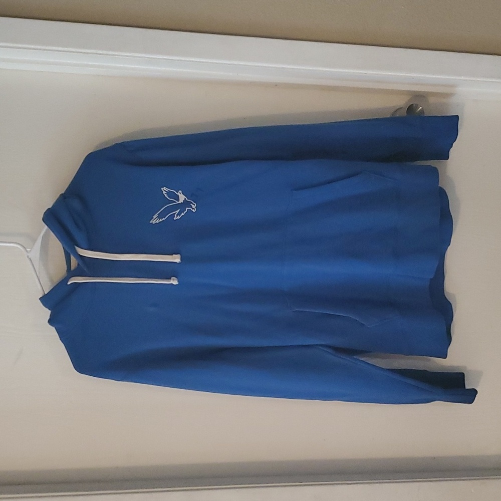 Blue American Eagle Hoodie
